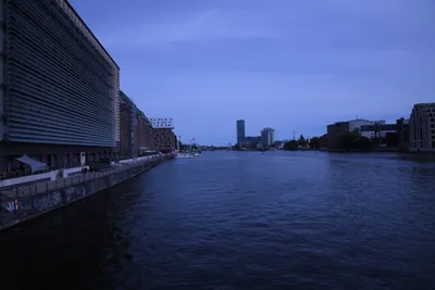 DSC_1826 (Large).JPG